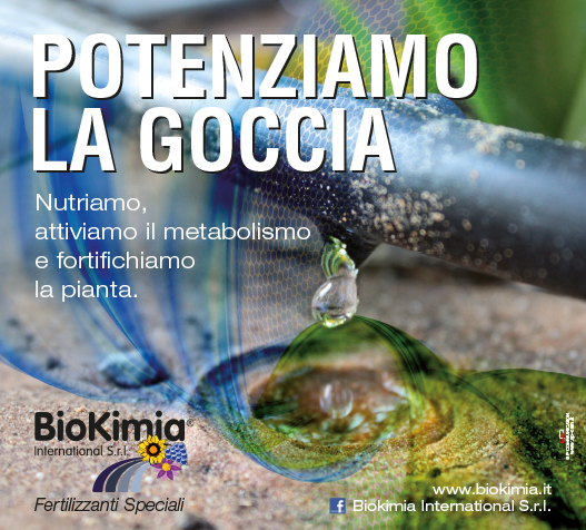 BioKimia · Cover
